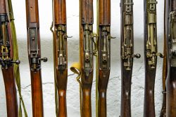 Armes d'ordonnance