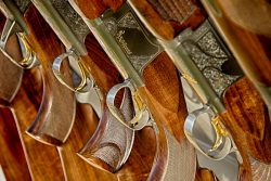 Armes de chasse