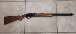 Carabine REMINGTON SPEEDMASTER 552
